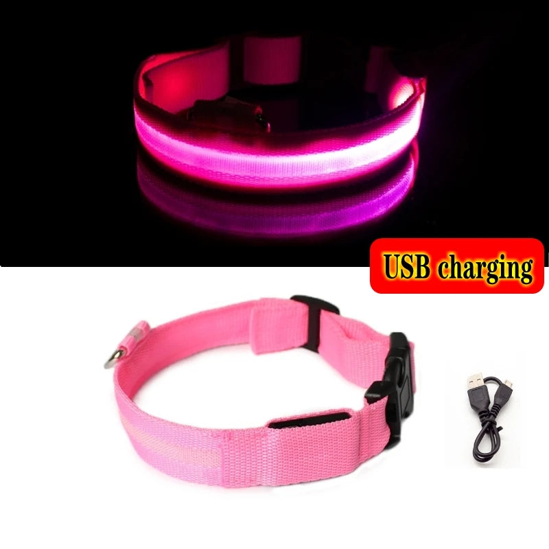 LED Dog Collar Light – USB Rechargeable Night Safety Anti-Lost Collar Accessory for Dogs & Puppies, Luminous Pet Walking Light.