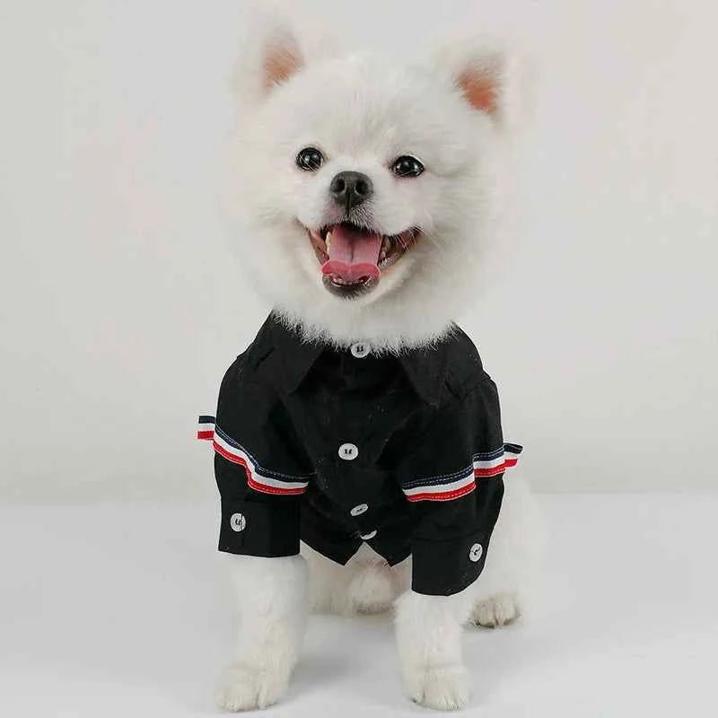 Designer Pet Shirt – Japanese, Korean & British Style Casual Outfit for Dogs & Cats, Fashionable Spring & Summer Clothing.
