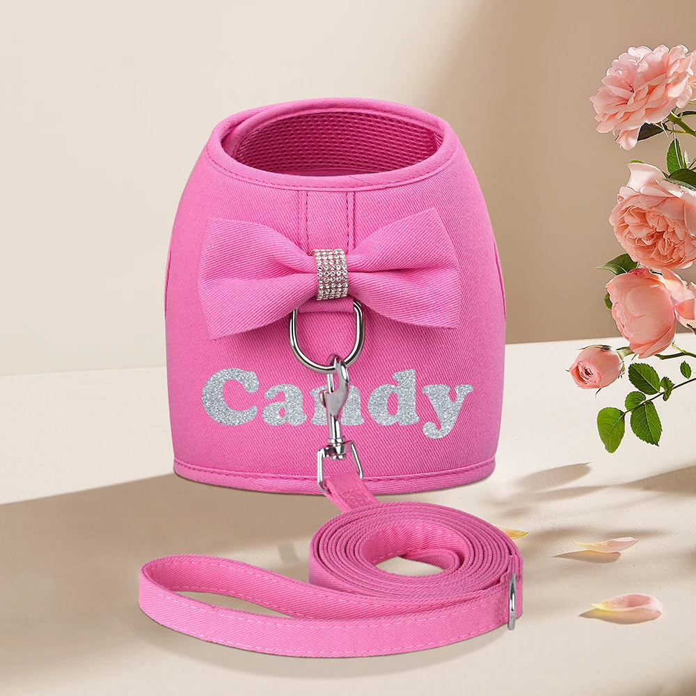 Personalized Dog Harness & Leash Set – Custom Name Pet Vest with Cute Bowtie for Small & Medium Dogs and Cats.