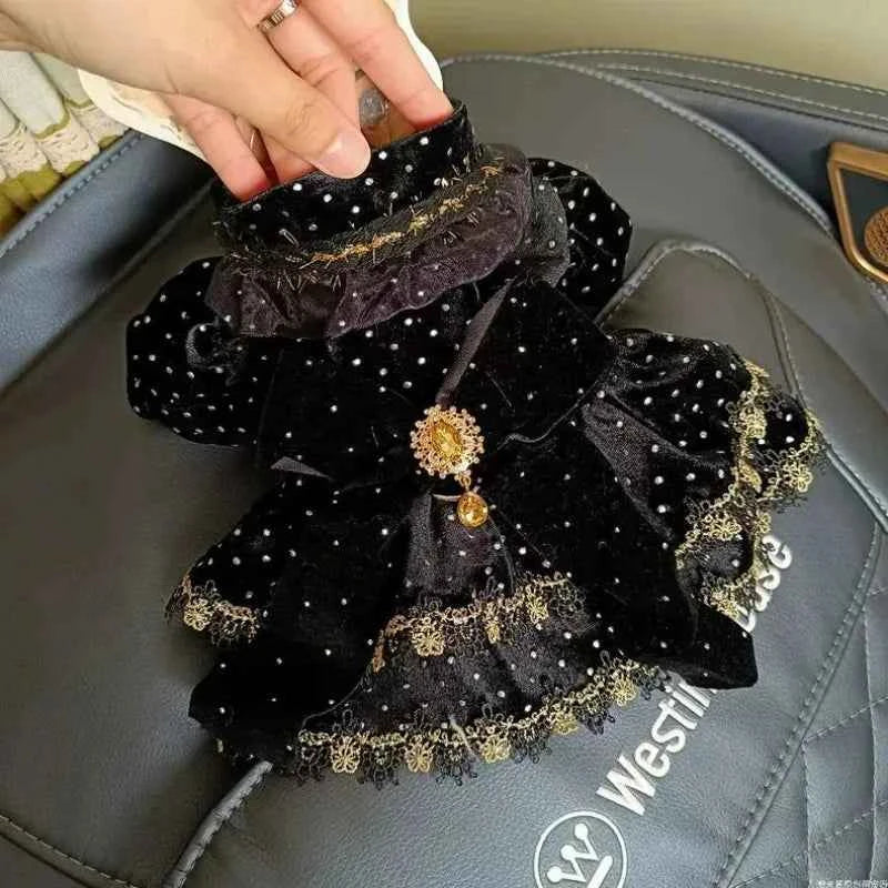 Velvet Black & Gold Pet Dress – Fashionable Girly Outfit for Small Dogs, Cute Luxury Print Clothing for Pets.
