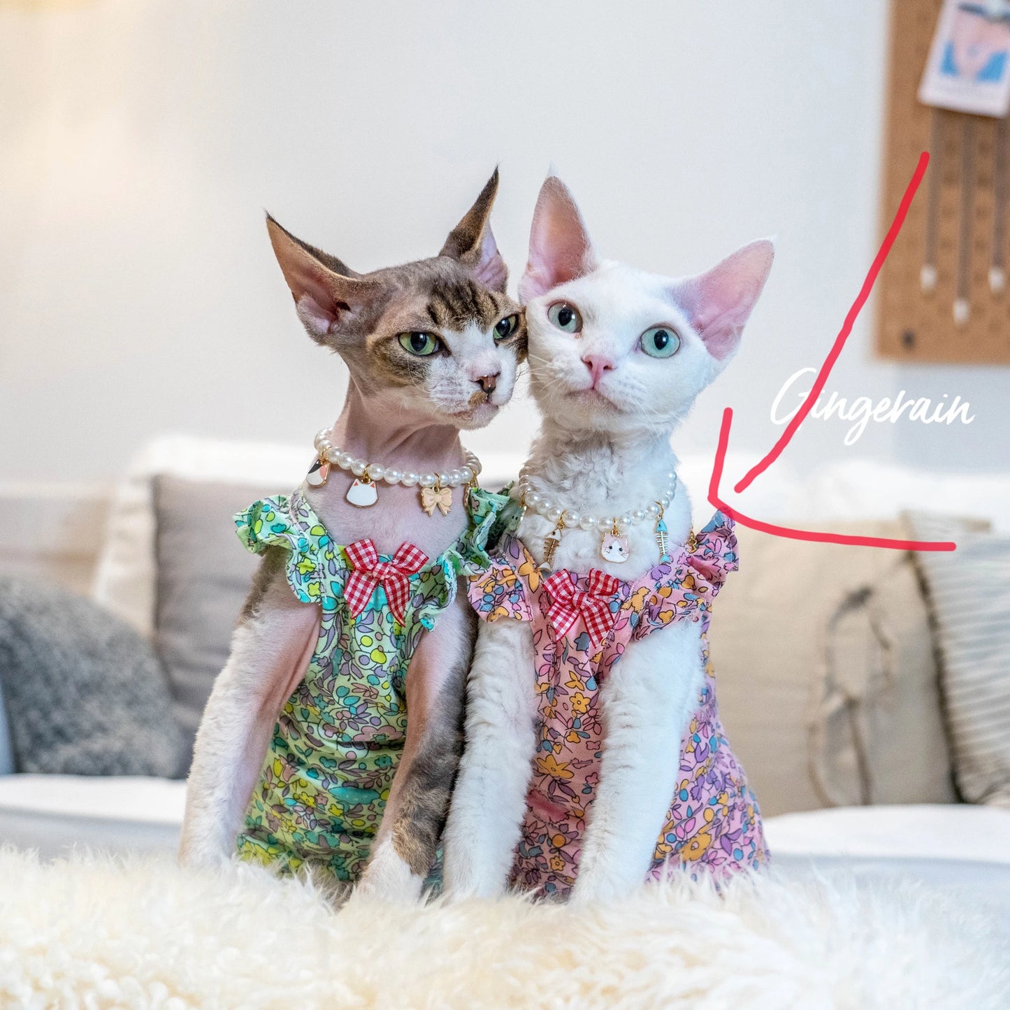 Luxury Sphynx Cat Dress – Sleeveless Cotton Princess Skirt for Devon Rex & Sphynx Cats, Sweet Spring & Summer Pet Outfit.