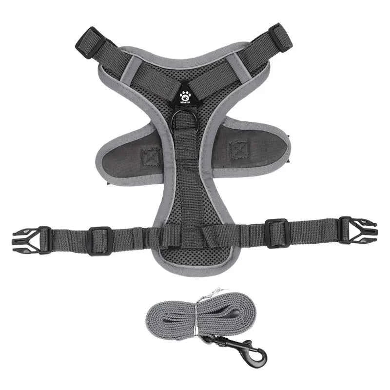 No-Pull Dog Harness & Leash Set – Adjustable Reflective Pet Vest Harness for Small Dogs & Cats, Comfortable Walking Chest Strap Lead.