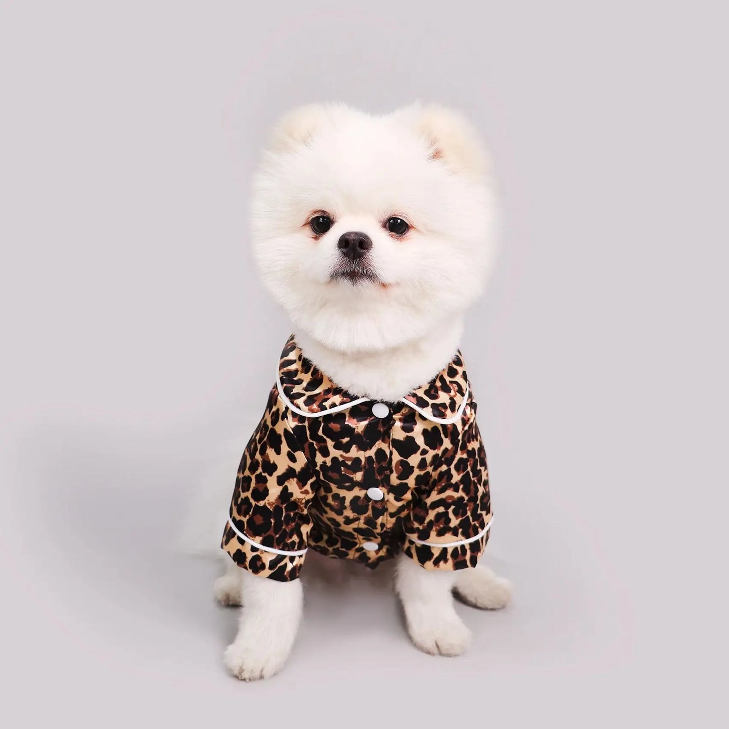 Cute Pet T-Shirt – Soft Lightweight Dog & Cat Homewear with Adorable Leopard, Bee & Cow Print Designs.