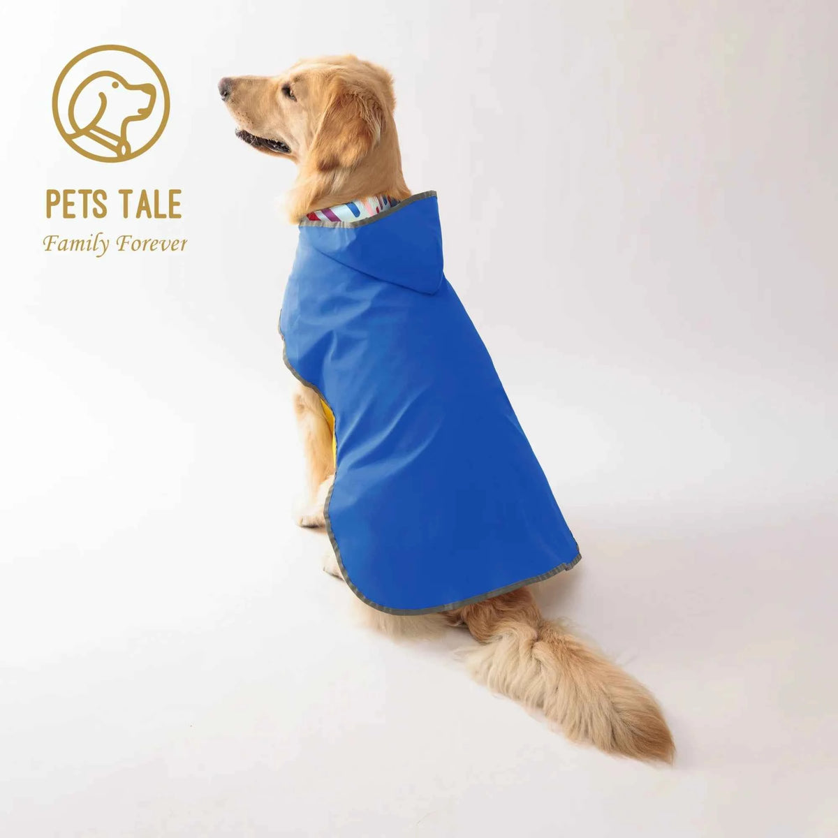 Double-Layer Yellow Dog Raincoat – Stylish & Waterproof, Reversible Two-Way Wear for Small and Medium Dogs.