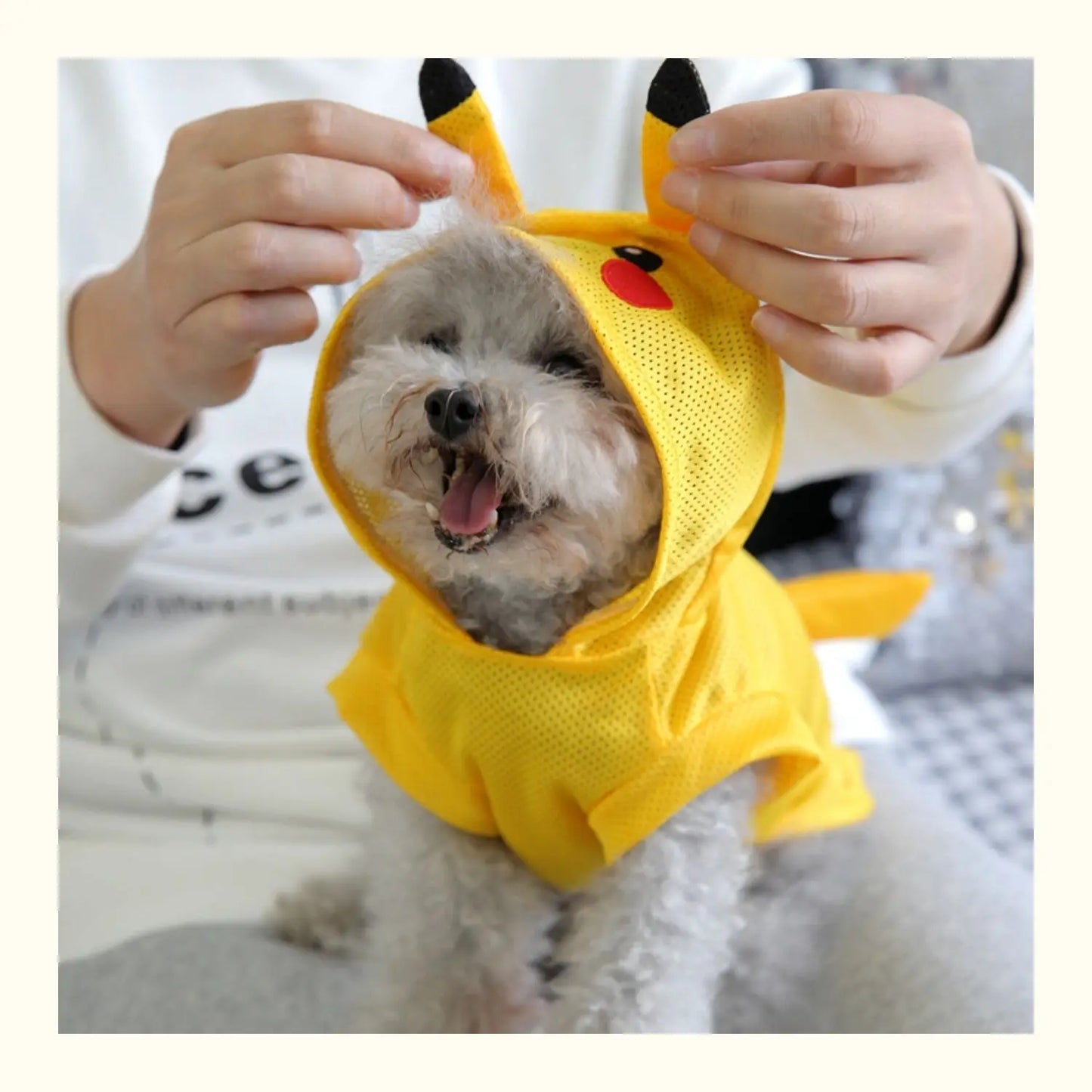 Cooling Pet Shirt – Cute Summer Costume for Small & Medium Dogs & Cats, Lightweight Breathable Outfit Available in XS–XXL.
