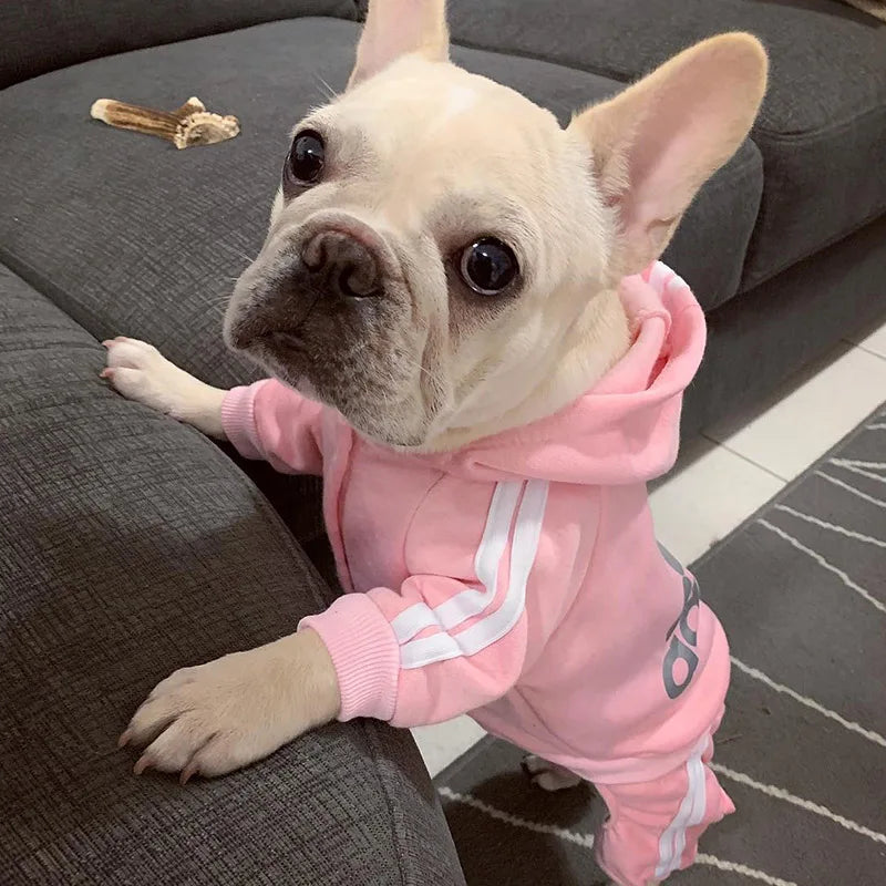 Dog Tracksuit Jumpsuit – Sporty Spring & Autumn Sweatshirt Outfit for Small Dogs, Comfortable Casual Pet Clothing.