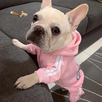 Dog Tracksuit Jumpsuit – Sporty Spring & Autumn Sweatshirt Outfit for Small Dogs, Comfortable Casual Pet Clothing.
