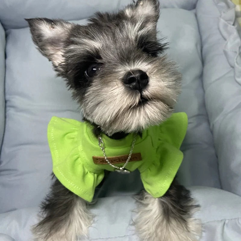 Luxury Sphynx Cat & Dog Vest – Lightweight Summer Outfit for Hairless Cats, French Bulldogs & Small Puppies.