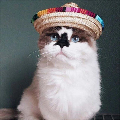 Colorful Mini Pet Straw Hat – Hawaiian Sombrero Sun Cap for Dogs & Cats, Perfect for Beach Parties & Fun Pet Costumes.