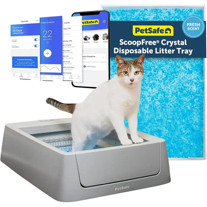 Scoopree Crystal Smart Automatic Litter Box – Motion-Sensing Open Cat Box with App Control & Integrated Counter, Includes Disposable Tray.