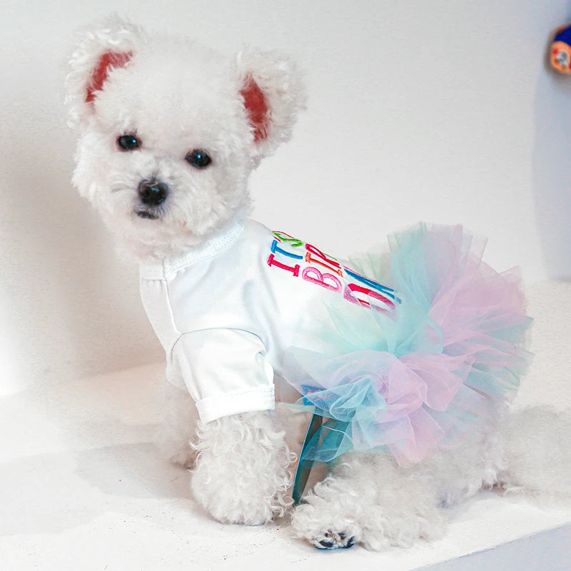 Layered Rainbow Veil Pet Dress – Princess Summer Outfit with Short Sleeves for Small Dogs & Cats, Perfect for Birthdays and Special Occasions.