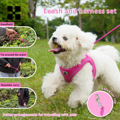 Adjustable Reflective Dog Harness & Leash Set – Comfortable Pet Vest for Small & Medium Dogs & Cats, Ideal for Outdoor Walking.
