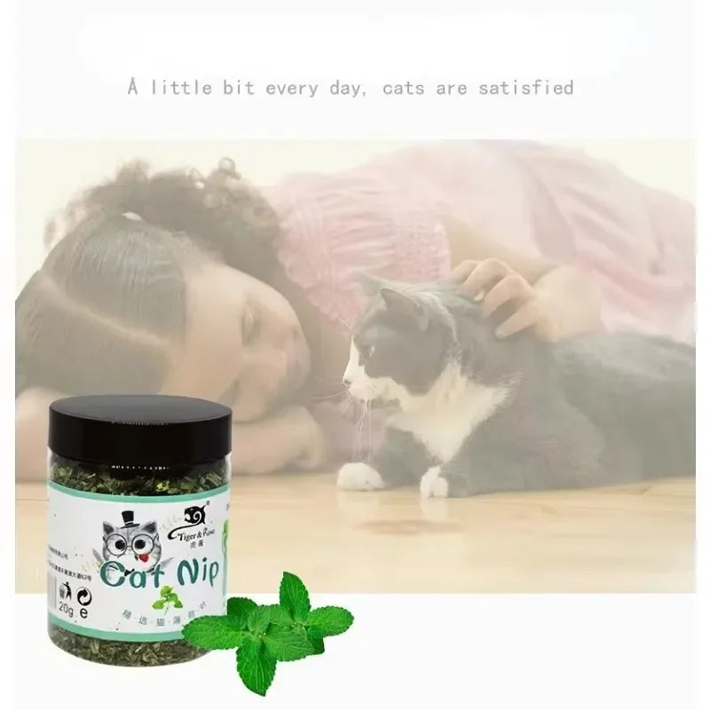 Organic Natural Catnip Toy – 100% High-Quality Mint Cat Grass Interactive Toy for Fun Play & Entertainment for Cats.