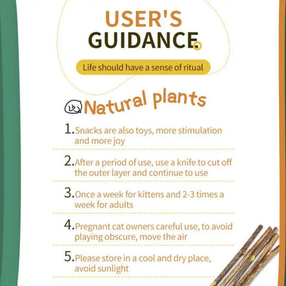 100-Pack Natural Matatabi (Silvervine) Cat Chew Sticks, Catnip Dental Treats for Teeth Cleaning, Healthy Chewing & Interactive Play