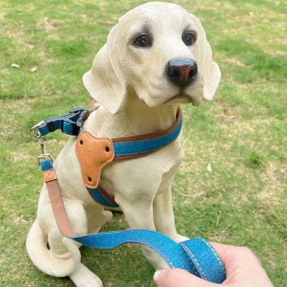 Adjustable Dog Harness & Leash Set – Breathable Heavy-Duty Saddle Harness for Small, Medium & Large Dogs, Secure Walking Rope Design.