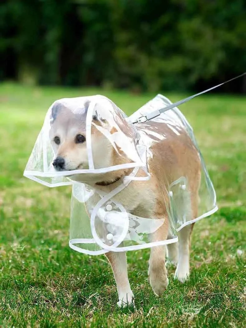 Transparent Waterproof Dog Raincoat – Hooded Pet Jacket for Outdoor Walks, Lightweight Protective Rain Gear for Dogs.