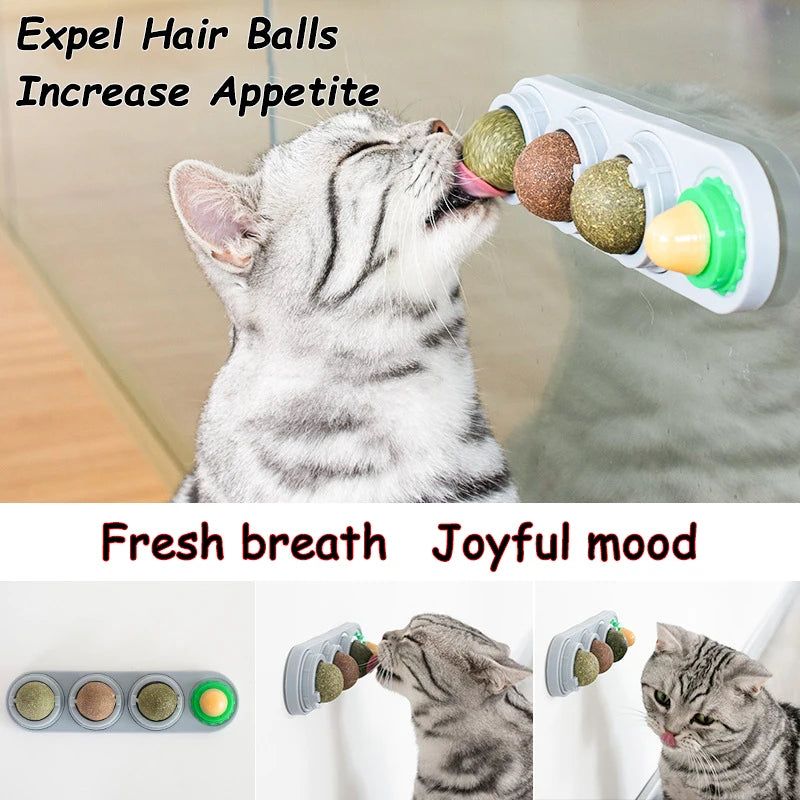 Natural Catnip Wall-Mounted Ball Toy for Cats, Stick-On Cat Grass Treat, Promotes Digestion & Healthy Chewing.