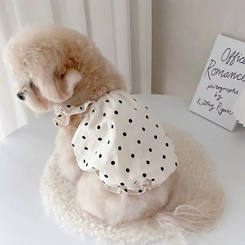 Luxury Dog Dress for Small Dogs – Summer Puppy Outfit with Bow Lace Skirt, Black & White T-Shirt Style Costume for Chihuahuas & Girls Dogs