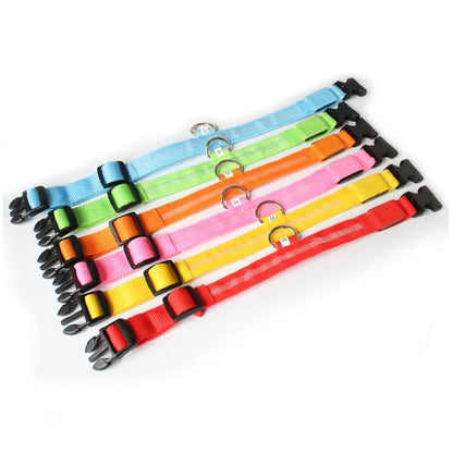 LED Dog Collar Light – USB Rechargeable Night Safety Anti-Lost Collar Accessory for Dogs & Puppies, Luminous Pet Walking Light.