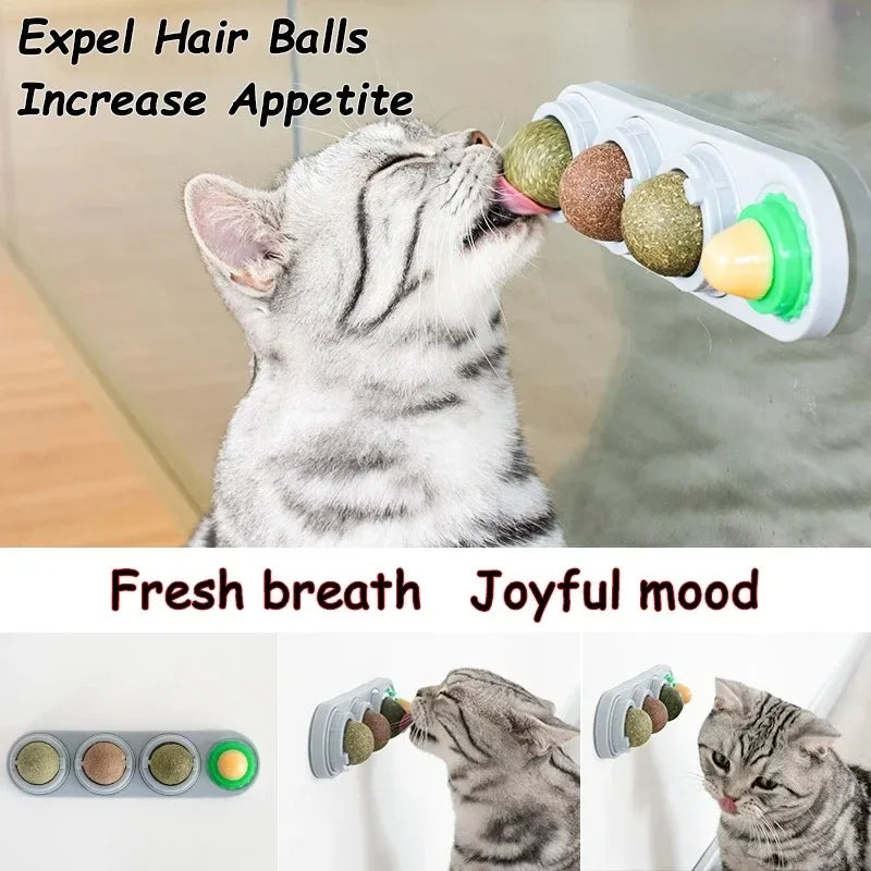 4-in-1 Rotating Catnip & Silver Vine Ball – Wall-Mounted Edible Cat Toy for Teeth Cleaning, Acne Prevention & Digestive Health.