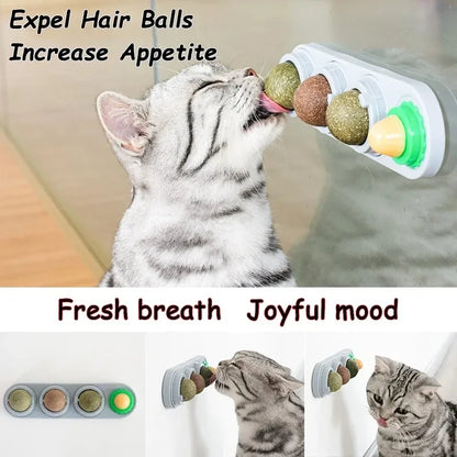 4-in-1 Rotating Catnip & Silver Vine Ball – Wall-Mounted Edible Cat Toy for Teeth Cleaning, Acne Prevention & Digestive Health.