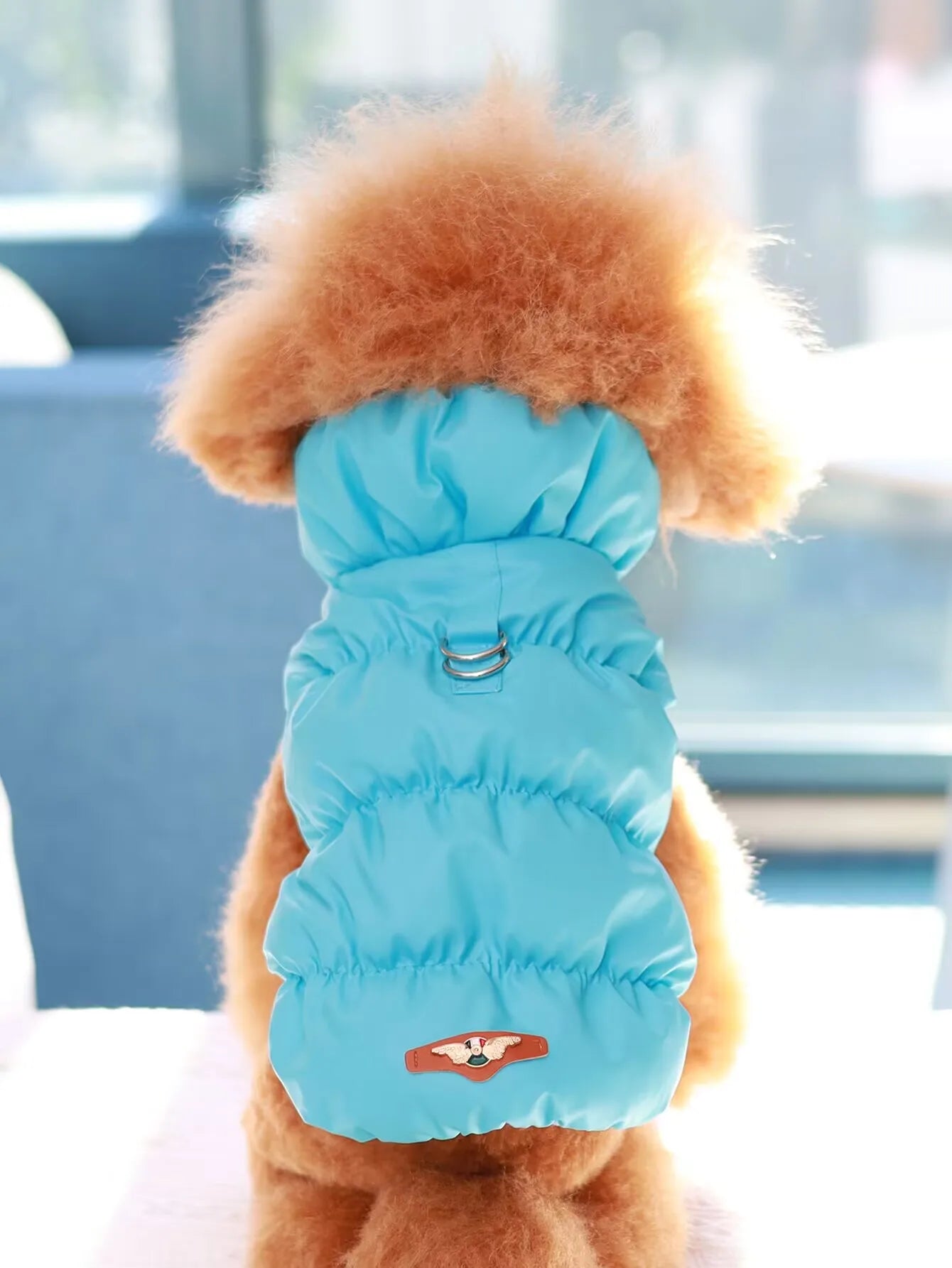 Dog Jacket for Autumn & Winter – 3-Layer Thick Warm Pet Coat for Small & Medium Dogs.
