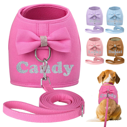 Personalized Dog Harness & Leash Set – Custom Name Pet Vest with Cute Bowtie for Small & Medium Dogs and Cats.