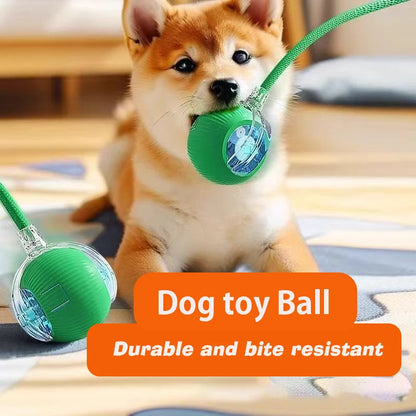 Automatic Rolling Dog Ball – Rechargeable Interactive Smart Toy for Dogs, Intelligent Motion Puppy Play Ball.