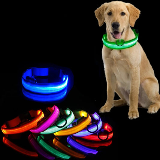 LED Dog Collar Light – USB Rechargeable Night Safety Anti-Lost Collar Accessory for Dogs & Puppies, Luminous Pet Walking Light.