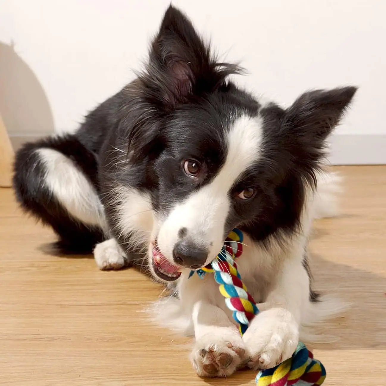 Interactive Tug of War Dog Toy – Braided Cotton Rope for Pulling, Chewing & Fun Bonding Play with Your Pet.