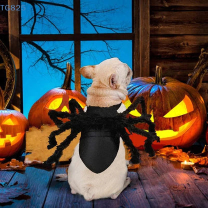 Halloween Spider Pet Costume – Funny Cosplay Dress-Up Outfit for Dogs & Cats.