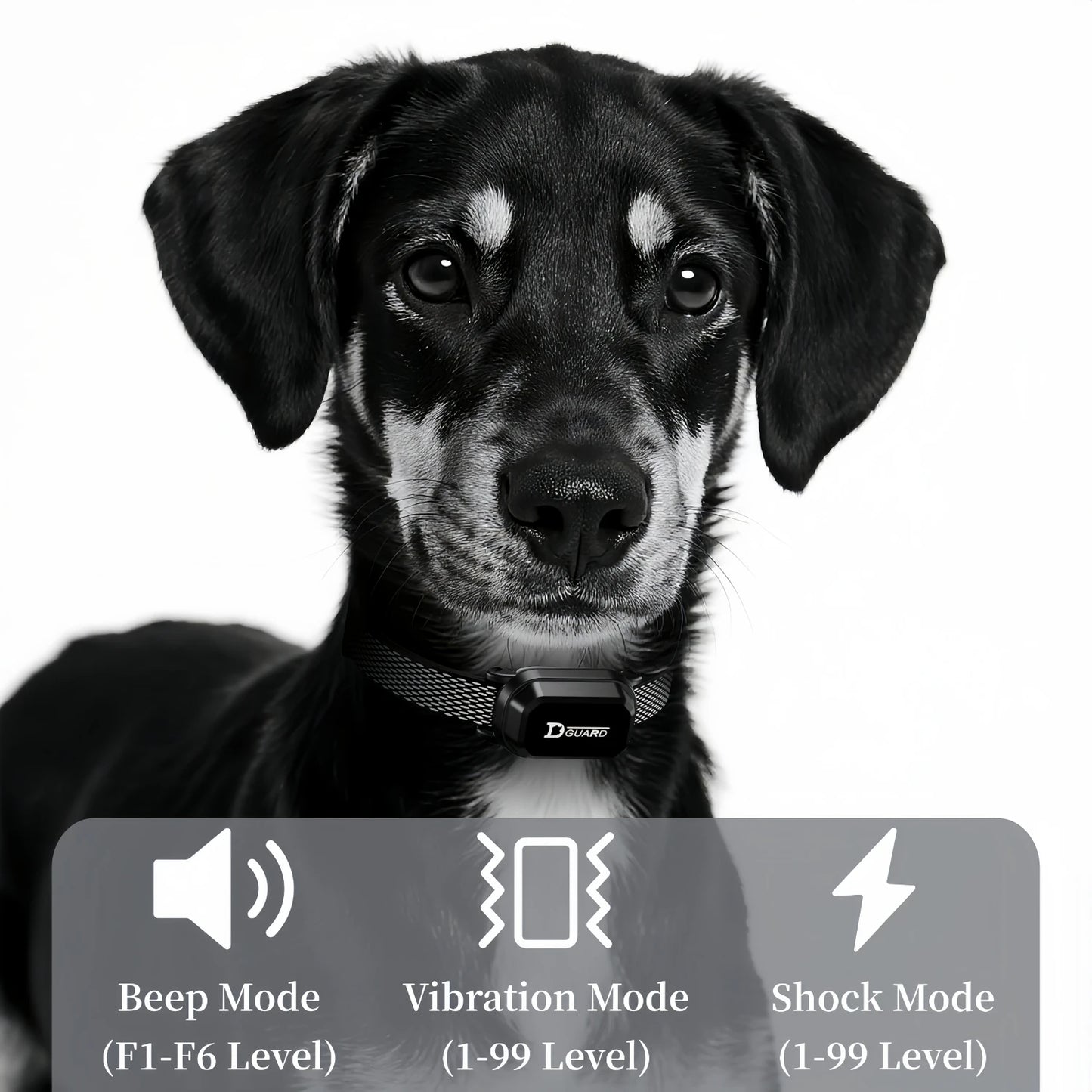 3300FT Remote Dog Training Collar – Waterproof Pet Behavior Training Collar with Vibration & Anti-Bark Modes for Dogs 6–120 lbs.