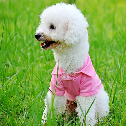 Luxury Pet Polo Shirt – Soft Summer Dog Clothing for Small Dogs, Cute Solid Color Pet Outfit.