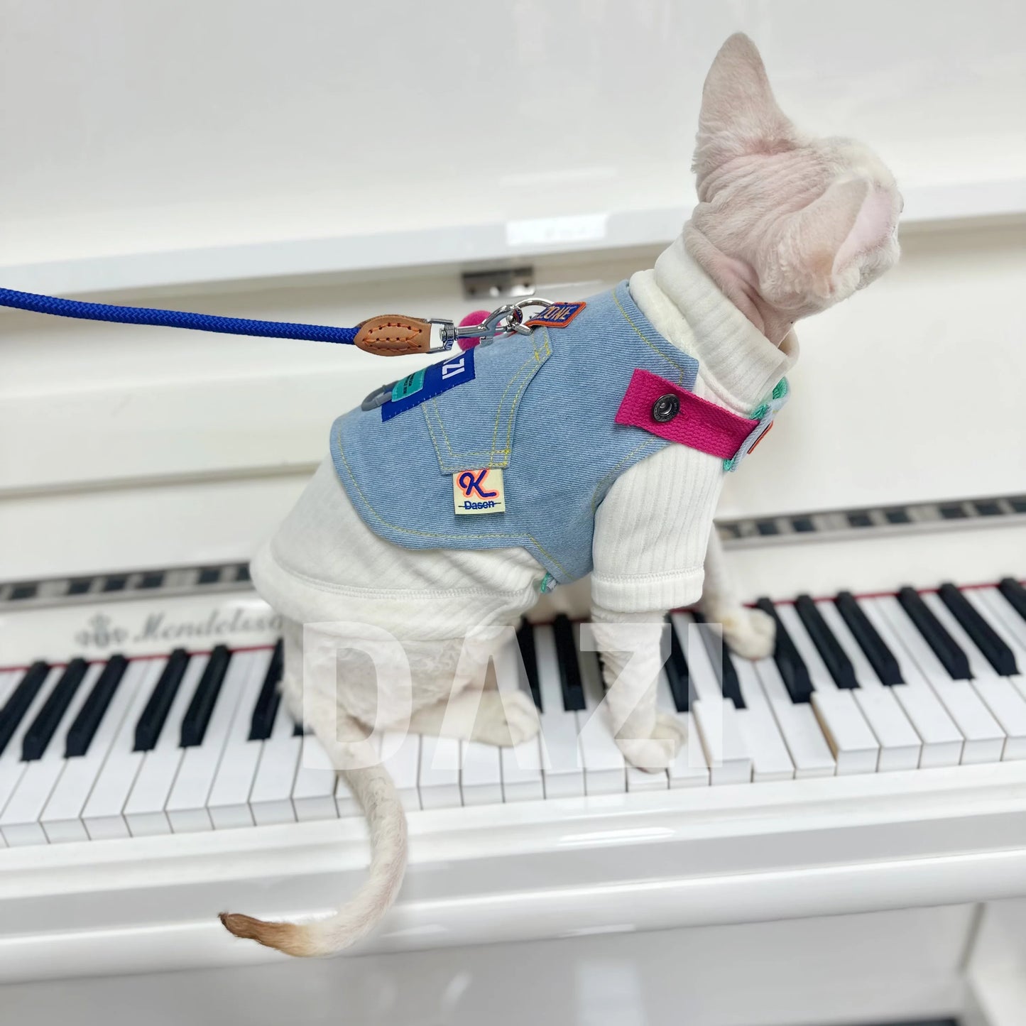 Outdoor Cowboy Sphynx Cat Harness & Leash – Luxury Sleeveless Denim Adjustable Harness for Travel, Walking & Hiking with Devon Rex Kittens.