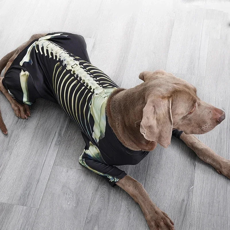 Halloween Skeleton Dog Costume – Comfortable Dress-Up Outfit for Large Breed Dogs.