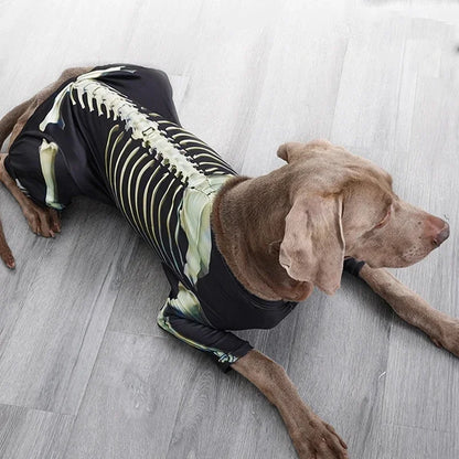 Halloween Skeleton Dog Costume – Comfortable Dress-Up Outfit for Large Breed Dogs.