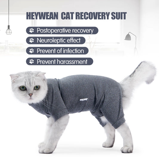 Pet Surgery Recovery Suit – Soft Cotton Postoperative Clothes for Cats, Warm Anti-Licking Recovery Wear for Post-Surgery Care.