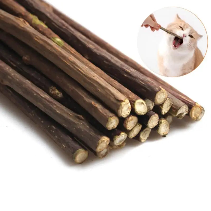 100-Pack Natural Matatabi (Silvervine) Cat Chew Sticks, Catnip Dental Treats for Teeth Cleaning, Healthy Chewing & Interactive Play