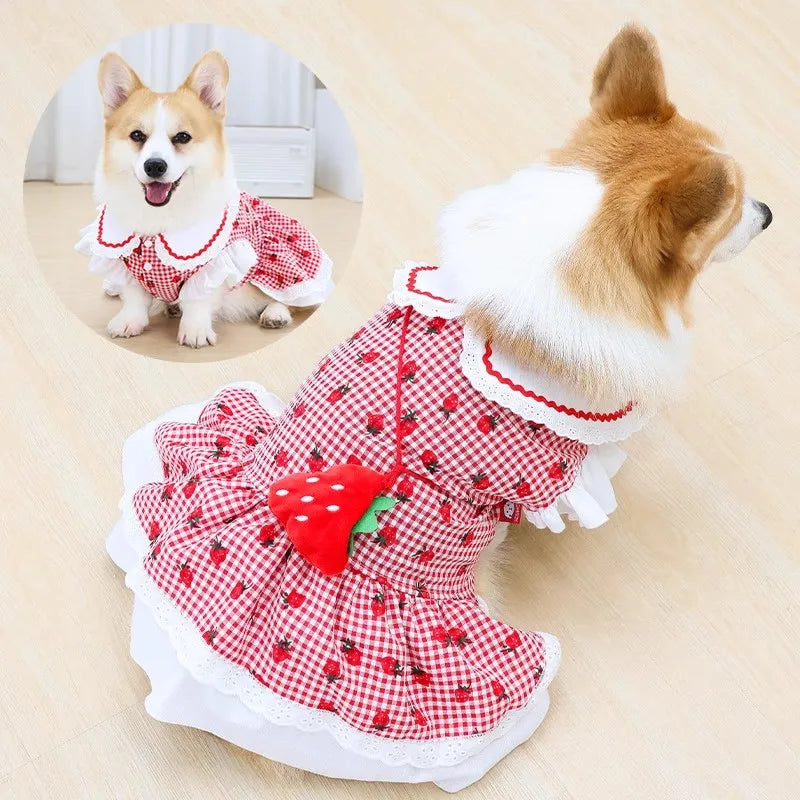 Strawberry Plaid Pet Dress – Cute Summer & Spring Outfit for Female Dogs, Puppies & Cats, Lightweight Clothing for Small & Medium Pets.
