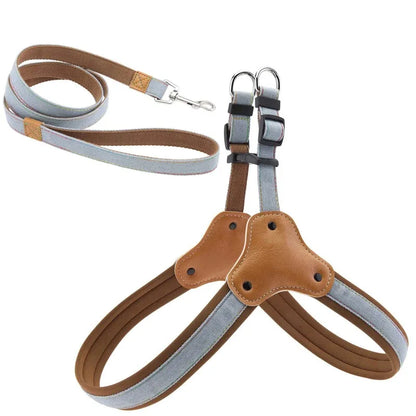 Adjustable Dog Harness & Leash Set – Breathable Heavy-Duty Saddle Harness for Small, Medium & Large Dogs, Secure Walking Rope Design.