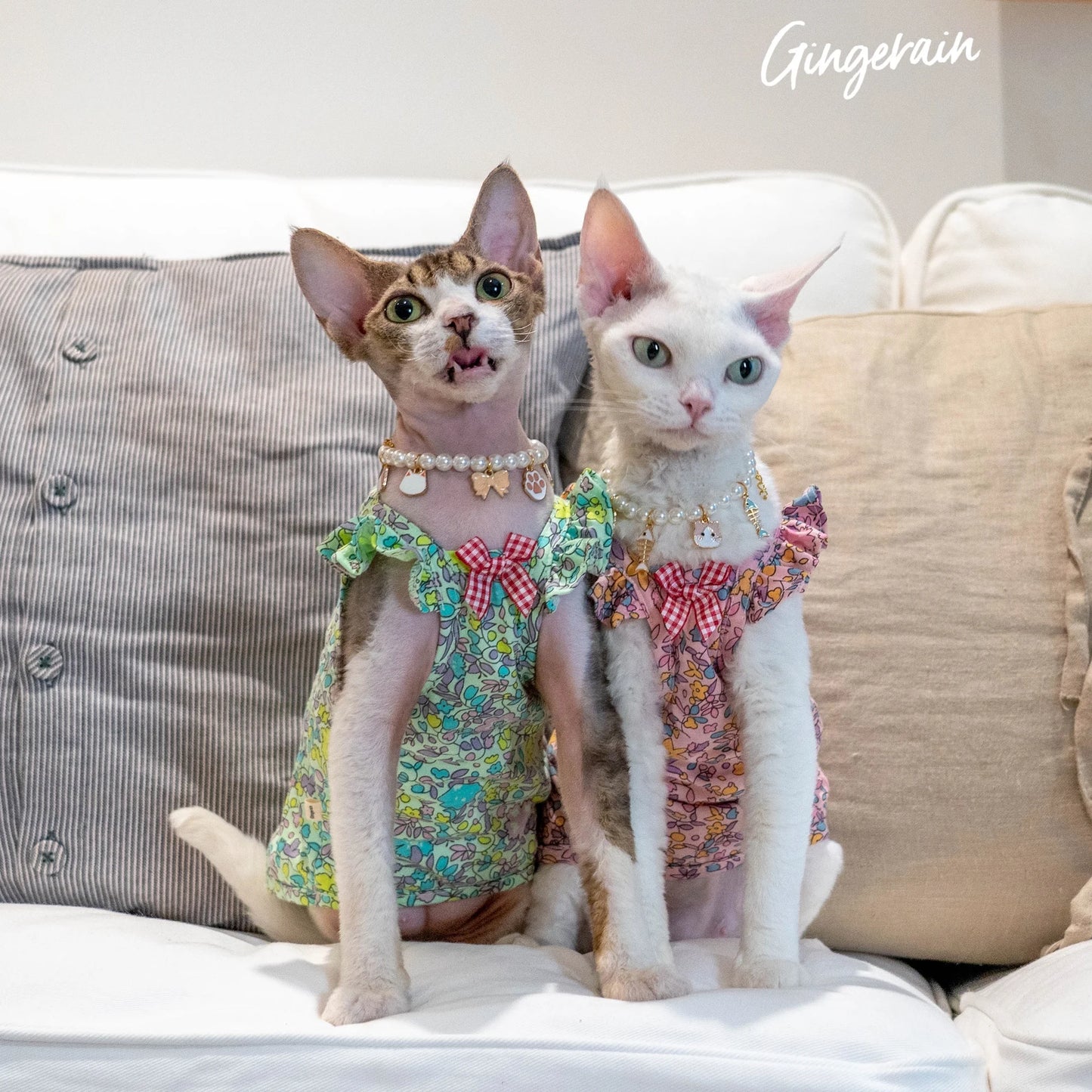 Luxury Sphynx Cat Dress – Sleeveless Cotton Princess Skirt for Devon Rex & Sphynx Cats, Sweet Spring & Summer Pet Outfit.
