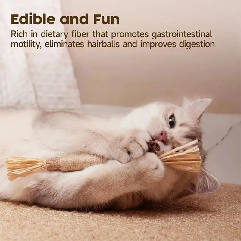 Lenovo Cat Silver Vine Chew Stick – Natural Catnip Dental Care Toy for Teeth Grinding, Bite Resistance & Tooth Cleaning for Cats