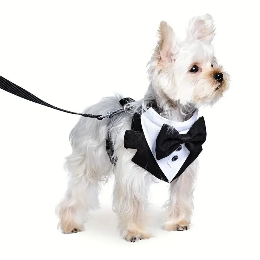 Formal Dog Suit Costume – Black Wedding Tuxedo Jacket with Bow Tie for Small Dogs, Elegant Prince Ceremony Outfit for Special Occasions.