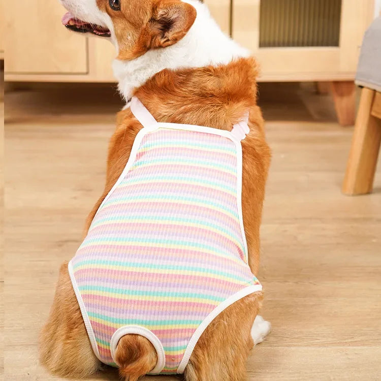 Adjustable Pet Underwear Shorts – Washable Physiological Pants with Shoulder Strap for Female Dogs, Comfortable Safety Diaper Trousers for Pets.