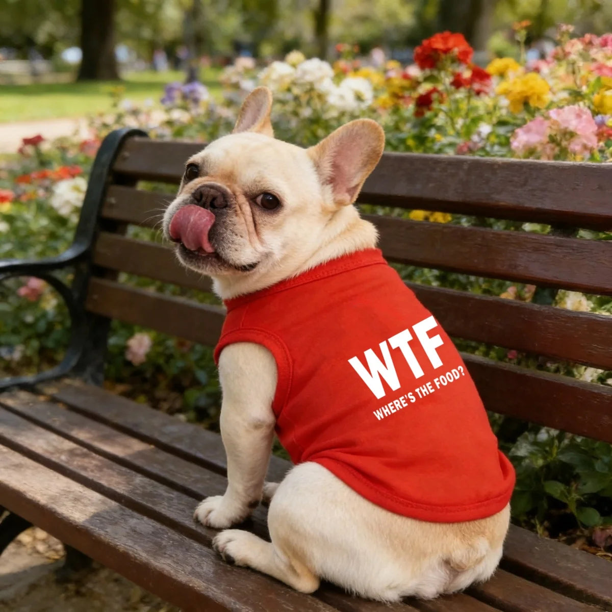 Exclusive Dog Tank Top – Cute “Where’s the Food?” Back Print Pet Shirt for Dogs, and Cats,  Soft & Comfortable Everyday Wear