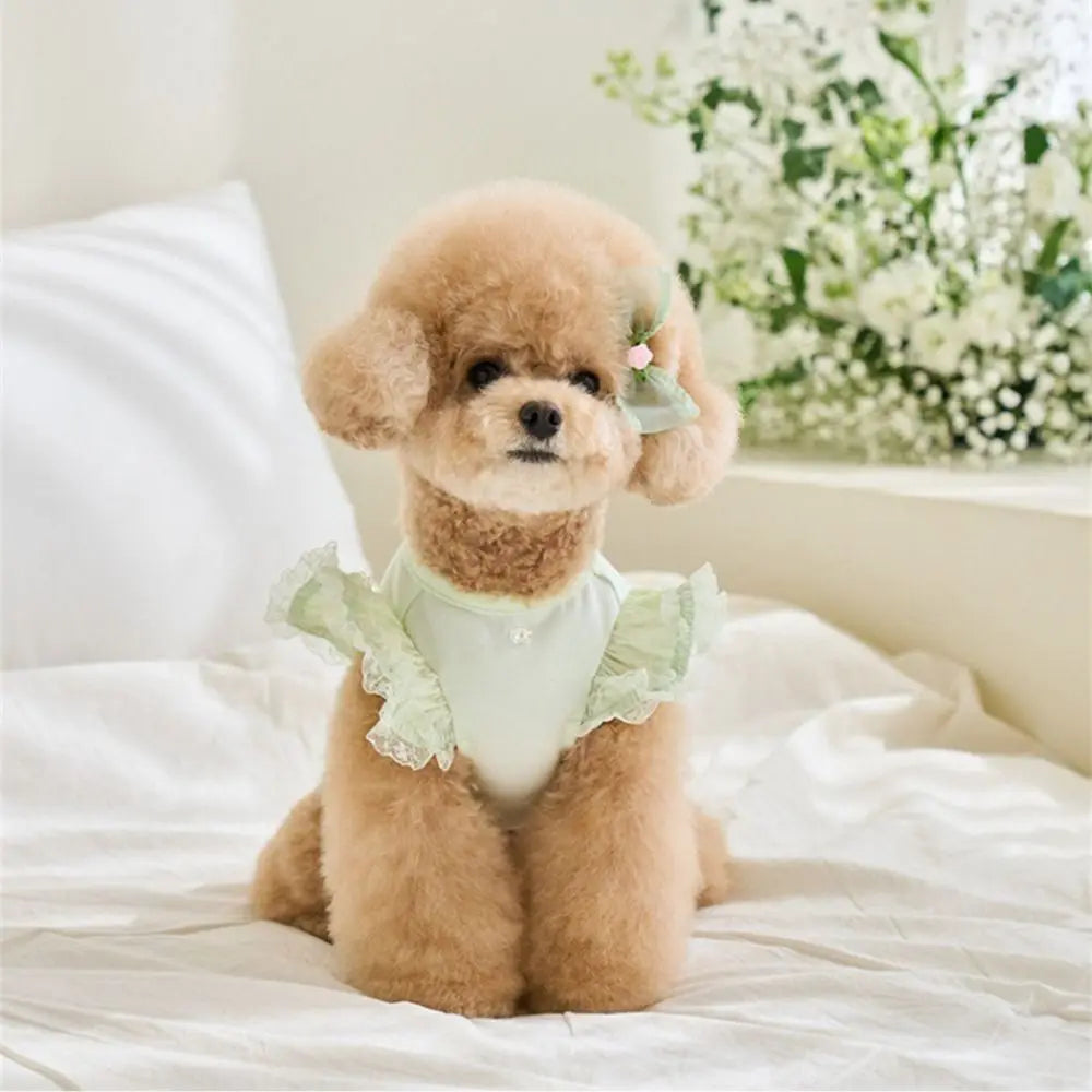 Lace Pet Summer Vest Dress – Soft Breathable Flying Sleeve Outfit for Cats & Dogs, Cute Puppy Base Skirt Clothing.