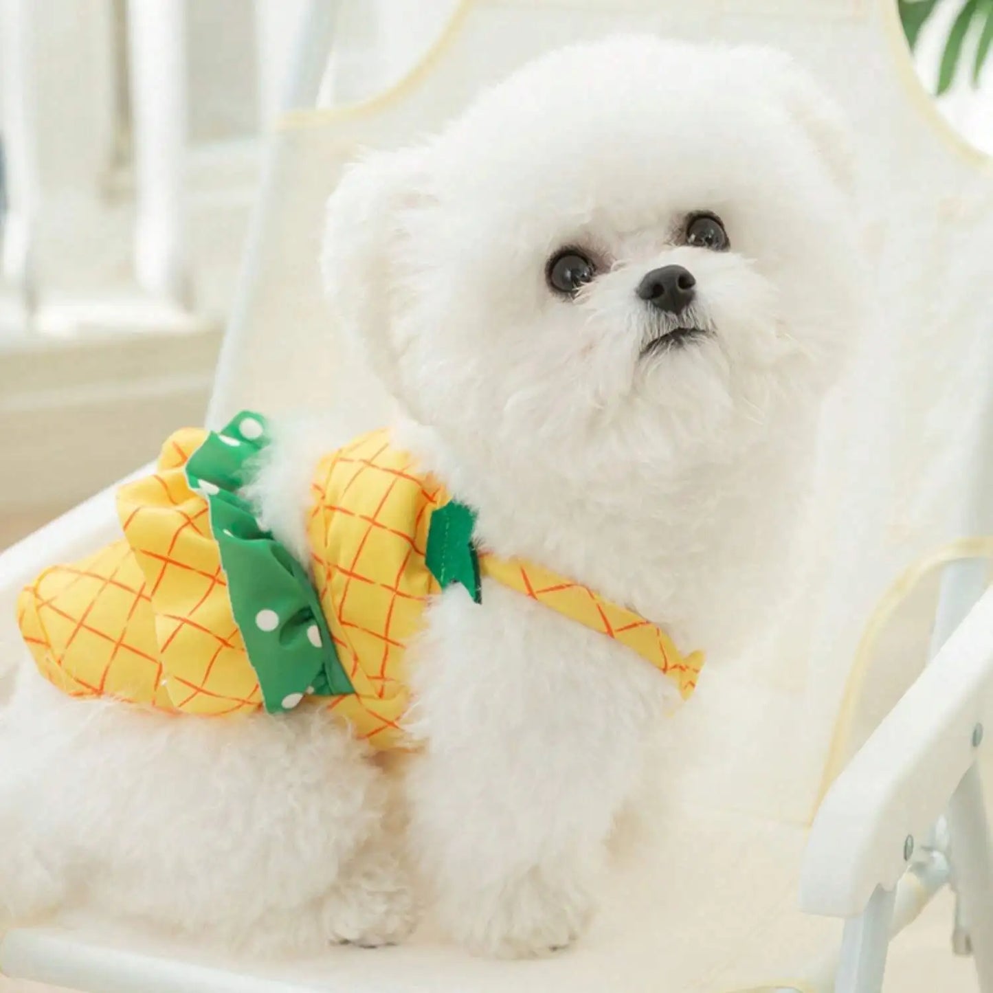 Summer Pineapple Dog Swimwear – Cute Bikini Beach Bathing Suit & Cooling Pet Shirt for Dogs, Stylish Summer Pet Clothes.