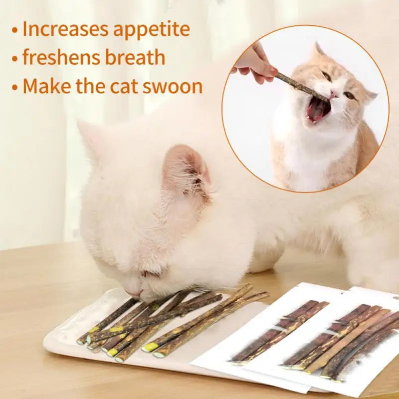 100-Pack Natural Matatabi (Silvervine) Cat Chew Sticks, Catnip Dental Treats for Teeth Cleaning, Healthy Chewing & Interactive Play