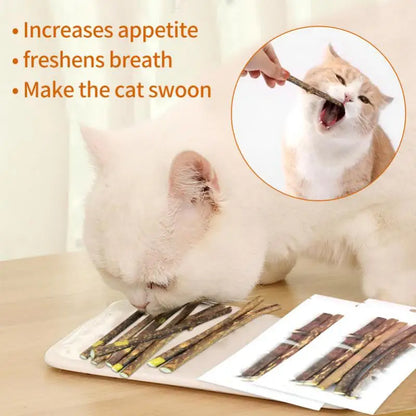 100-Pack Natural Matatabi (Silvervine) Cat Chew Sticks, Catnip Dental Treats for Teeth Cleaning, Healthy Chewing & Interactive Play