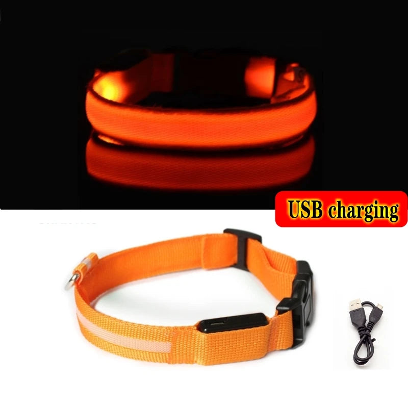LED Dog Collar Light – USB Rechargeable Night Safety Anti-Lost Collar Accessory for Dogs & Puppies, Luminous Pet Walking Light.
